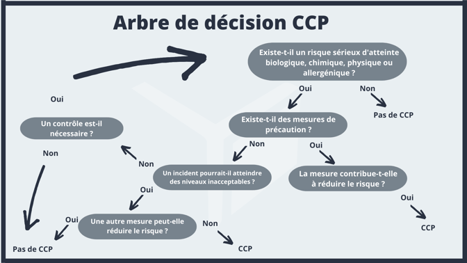 CCP Decision Tree FR