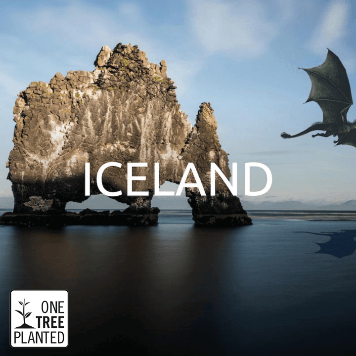 OTP_projet_Islande_2022