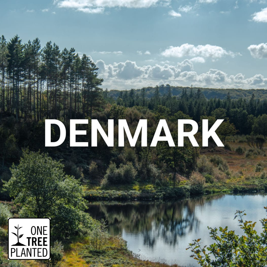 Landscape of Denmark and onetreeplanted logo
