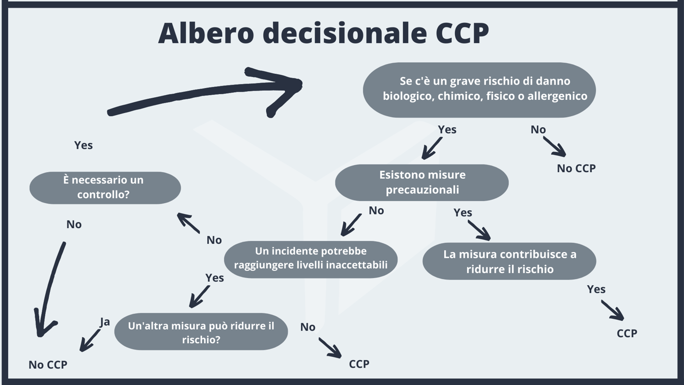 HACCP Definizione Modelli E I 7 Principi Della Manipolazione Sicura haccp-definizione-modelli-e-i-7-principi-della-manipolazione-sicura