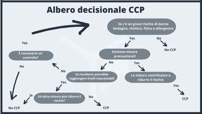 albero decisionale CCP