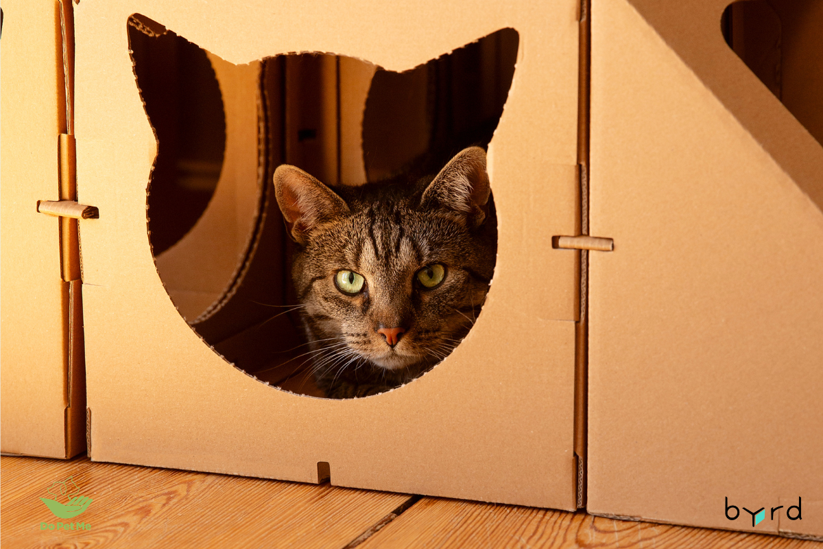 Verpackungen für Heimtierprodukte im E-Commerce