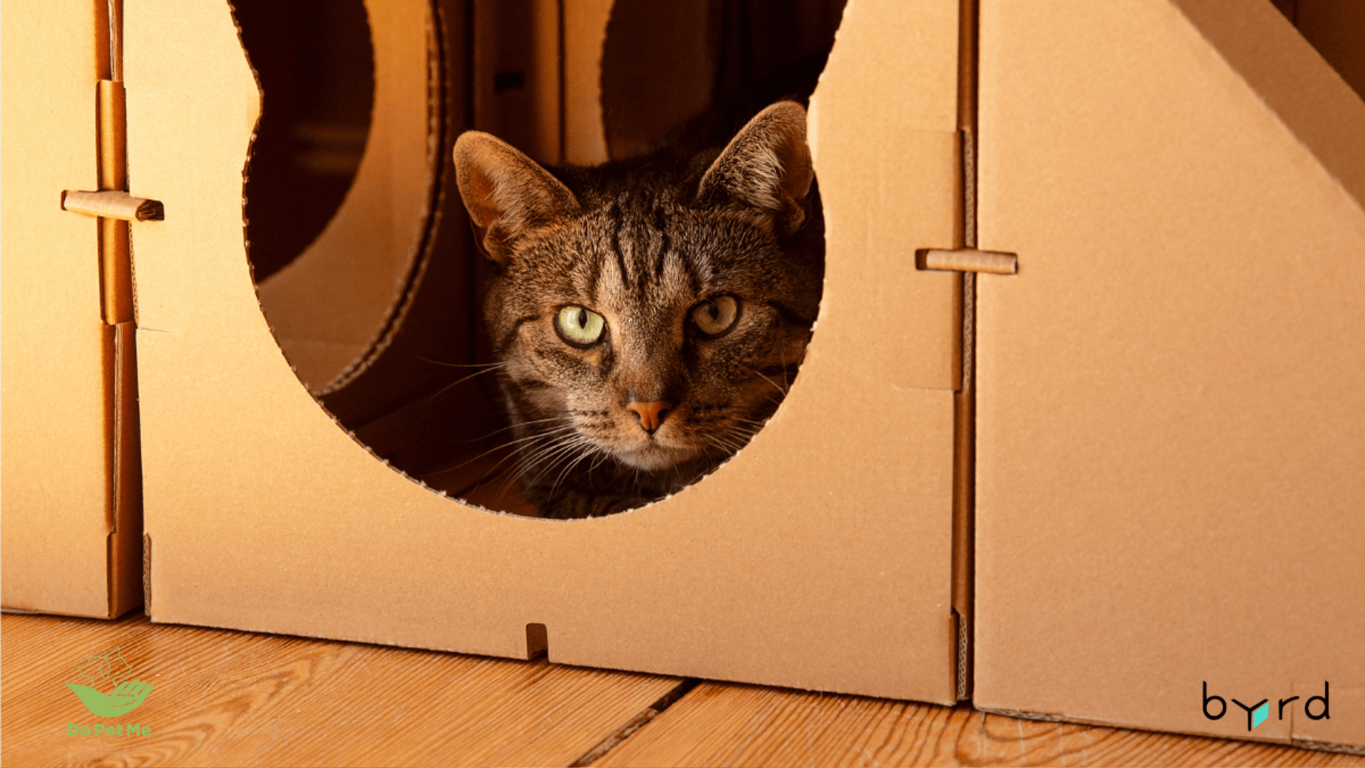 Verpackungen für Heimtierprodukte im E-Commerce